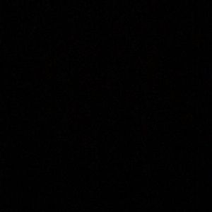 Meet your Posher, Millie